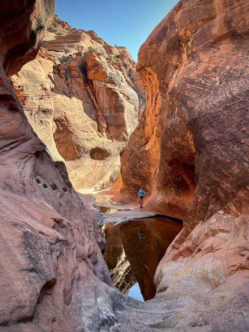 A person stands in a narrow canyon with red rock walls, reflecting in a shallow pool of water below.