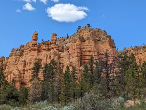 Red rock formations rise against a blue sky with a few clouds, surrounded by green trees and shrubs.