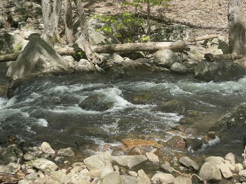A serene stream flows over rocks, surrounded by trees and natural foliage in a peaceful forest setting.