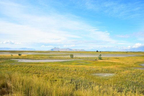 A serene landscape featuring golden grasses, a calm water body, and distant mountains under a blue sky.
