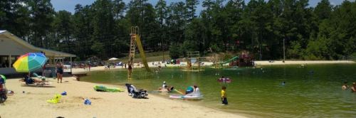 A sunny beach scene with people swimming, lounging, and playing near a lake, surrounded by trees and colorful umbrellas.