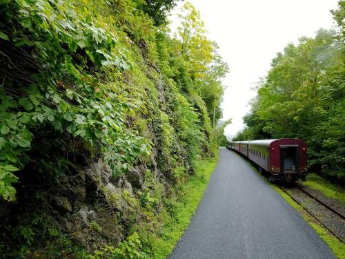 A vintage train travels along a scenic, tree-lined track beside a rocky hillside.