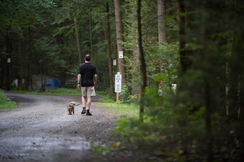 A person walks a dog along a forested path near camping sites, surrounded by trees and greenery.