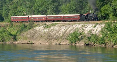 A vintage steam train with red cars travels along a riverbank surrounded by lush green trees.