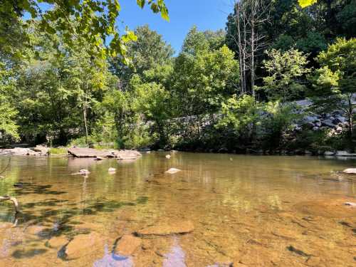 A serene river scene surrounded by lush green trees and rocky banks under a clear blue sky.