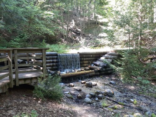 A small waterfall flows over a wooden structure, surrounded by lush greenery and rocks in a serene forest setting.
