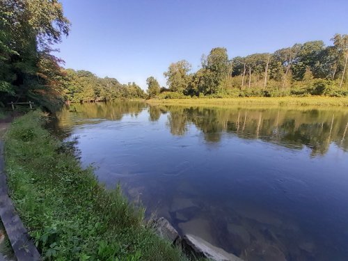 A serene river scene surrounded by lush greenery and trees under a clear blue sky.