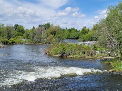 A serene river flows through lush greenery under a partly cloudy sky, with gentle waves and vibrant vegetation along the banks.