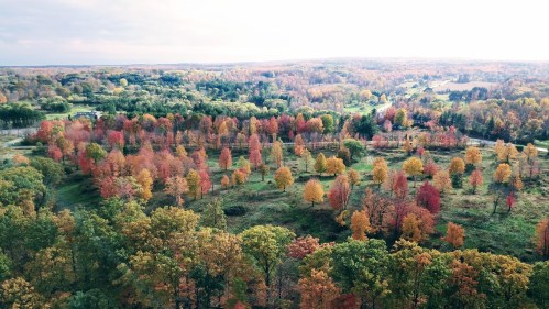 Aerial view of a vibrant autumn landscape with trees in shades of orange, red, and yellow across rolling hills.