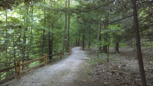 A winding gravel path through a lush green forest, bordered by wooden fencing and surrounded by tall trees.