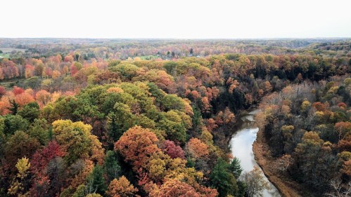 Aerial view of a vibrant autumn forest with colorful trees and a winding river.