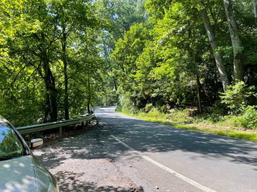 A winding road surrounded by lush green trees on a sunny day, with a car parked on the side.