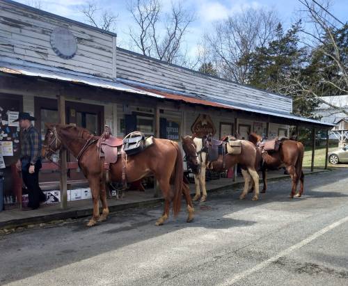 A line of saddled horses stands outside a rustic building, with a person in a plaid shirt nearby.