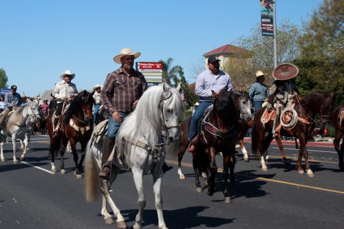 A group of horse riders in cowboy attire parades down a sunny street, showcasing their horses and festive spirit.