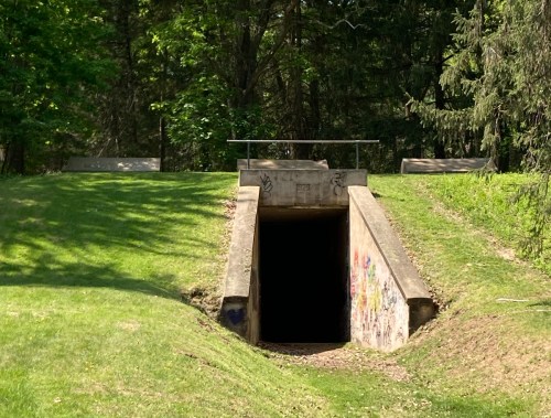 A dark tunnel entrance surrounded by green grass and trees, with graffiti on the concrete walls.