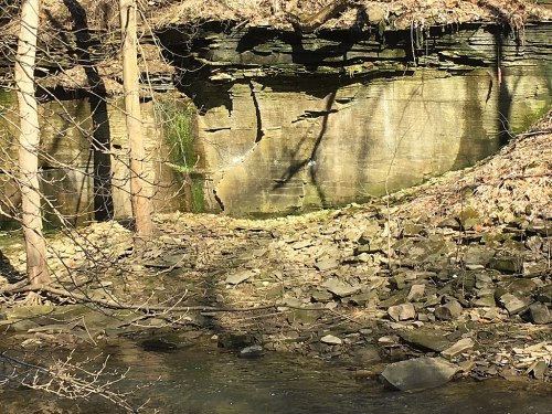 A rocky riverbank with a steep, moss-covered cliff and bare trees, illuminated by sunlight.