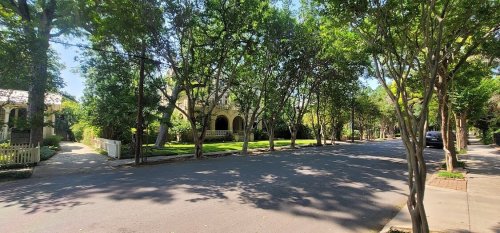 A tree-lined street with lush greenery and historic homes under a clear blue sky.