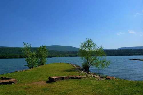 A serene lakeside view with green grass, trees, and distant hills under a clear blue sky.