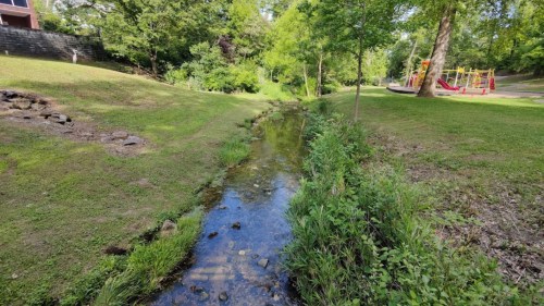 A serene creek flows through a grassy area, with trees lining the banks and a playground visible in the background.
