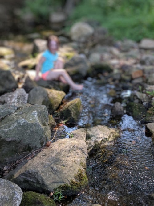 A person sits on rocks by a gently flowing stream, surrounded by greenery. The image is slightly blurred.