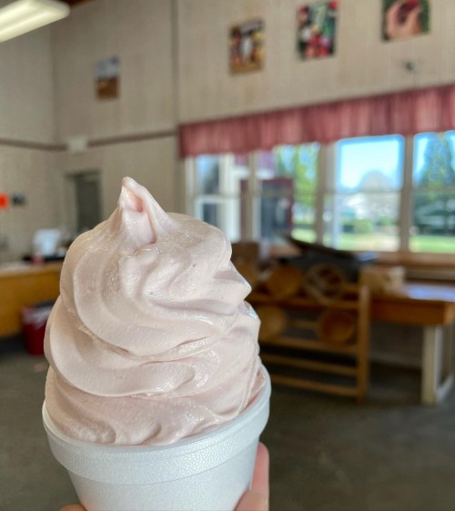 A hand holding a swirl of pink soft serve ice cream in a white cup, with a cozy interior in the background.