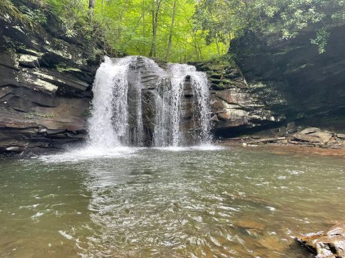 A serene waterfall cascades into a calm pool, surrounded by lush green trees and rocky terrain.