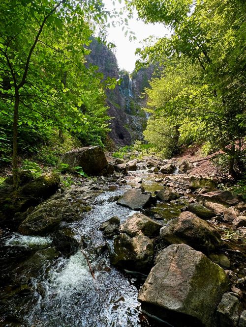 A serene stream flows through a rocky landscape, surrounded by lush green trees and a distant waterfall.