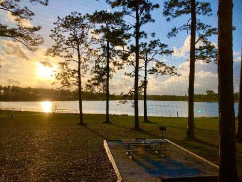 Sunset over a calm lake, framed by tall pine trees and a picnic area on the shore.