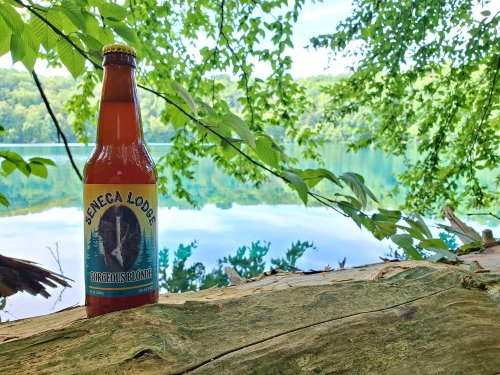 A bottle of Seneca Lodge Gorgeous Blonde beer sits on a log by a serene lake, surrounded by lush green foliage.