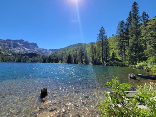 A serene lake surrounded by lush green trees and mountains under a clear blue sky, with sunlight reflecting on the water.