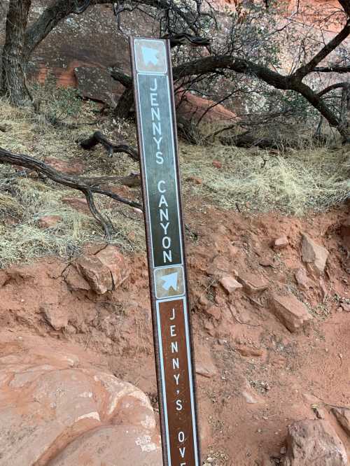 Signpost indicating directions to Jenny's Canyon and Jenny's Overlook on a rocky trail.