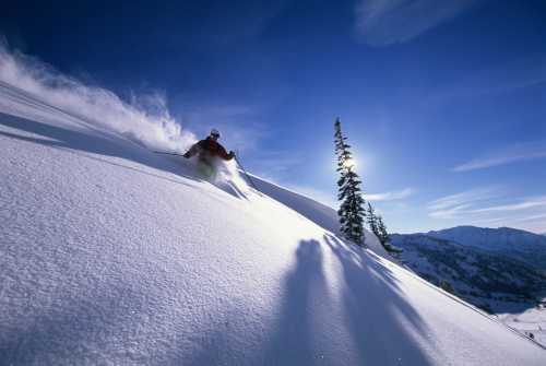 A skier carves through fresh powder snow on a sunny day, with trees and mountains in the background.