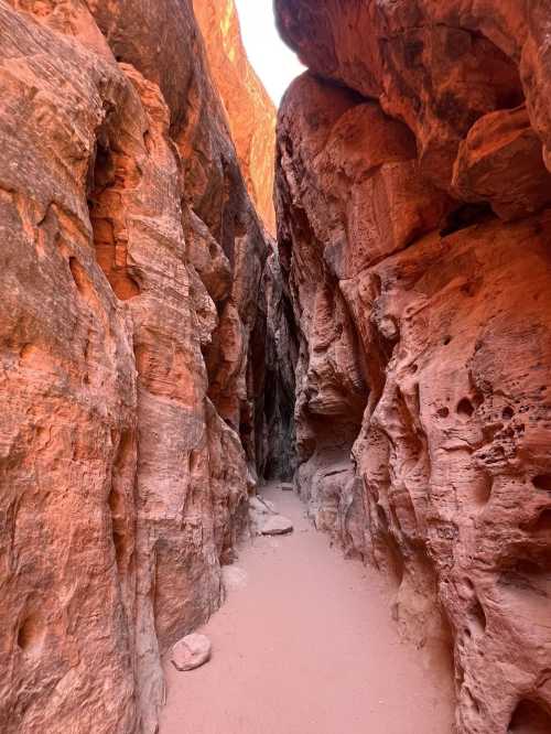 Narrow canyon with towering red rock walls and a sandy floor, illuminated by sunlight from above.