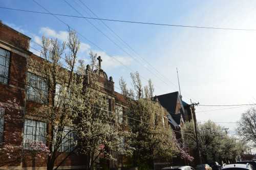 A brick building with flowering trees in front, under a clear sky with soft clouds.