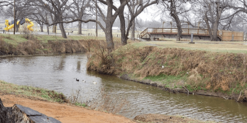 A calm creek with ducks swimming, surrounded by bare trees and grassy banks, with playground equipment in the background.