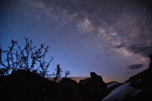 A starry night sky filled with stars and the Milky Way, framed by silhouetted rocks and sparse vegetation.