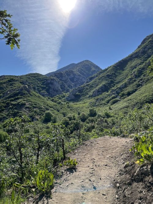 A scenic mountain trail surrounded by lush greenery under a clear blue sky with the sun shining above.