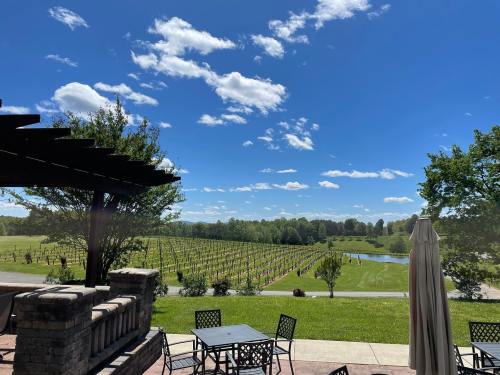 A scenic view of a vineyard under a blue sky with fluffy clouds, featuring green fields and a pond in the background.