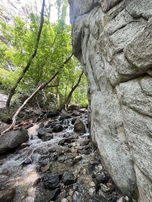 A rocky stream flows between tall stone walls, surrounded by lush green trees in a serene natural setting.