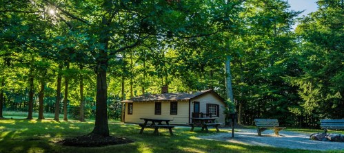 A small yellow cabin surrounded by lush green trees and picnic tables in a serene outdoor setting.