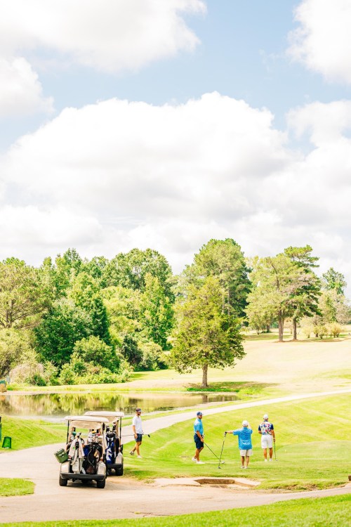 A sunny golf course scene with players near a pond, surrounded by trees and a golf cart in the foreground.
