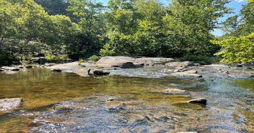 A serene river scene with clear water, smooth rocks, and lush green trees under a bright blue sky.