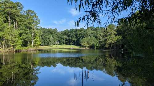 A serene lake surrounded by lush greenery and trees, reflecting the blue sky and distant hills.