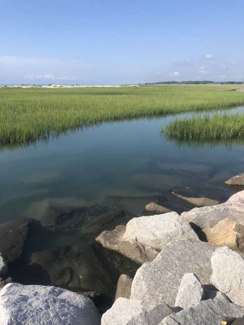 A serene landscape featuring a calm waterway bordered by rocks and lush green grass under a clear blue sky.