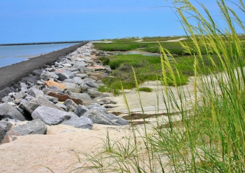 A coastal scene featuring a rocky shoreline, grassy areas, and calm waters under a clear blue sky.