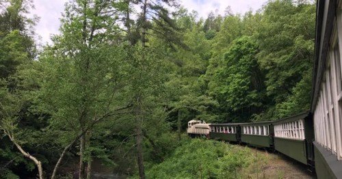 Green train curving through lush Kentucky forest.