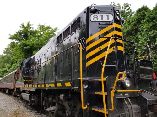 A black and yellow striped locomotive parked beside a train car, surrounded by greenery.