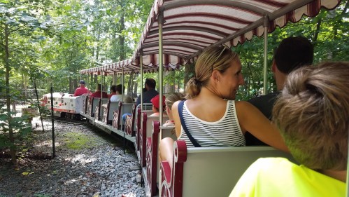 A train ride through a wooded area, with passengers enjoying the scenery on a sunny day.