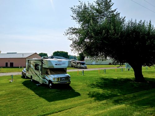 A parked RV on green grass near a tree, with additional RVs and buildings in the background under a clear blue sky.
