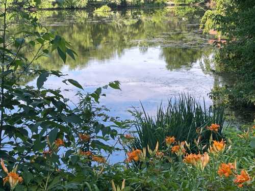 A serene pond surrounded by lush greenery and vibrant orange flowers, reflecting the trees and sky above.